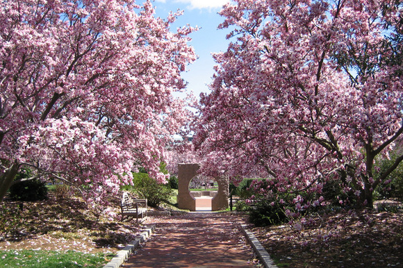 c192805e43255713e531f1eade8bc55d