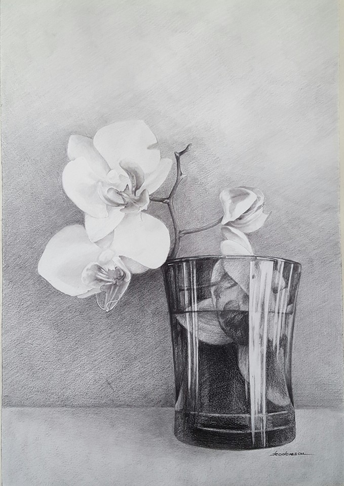 11219406_947445111993096_3327828623171858766_n