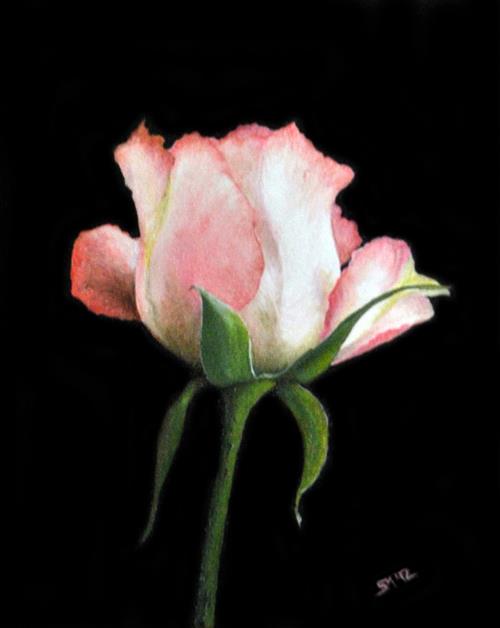 546000_430798950282287_1546768170_n