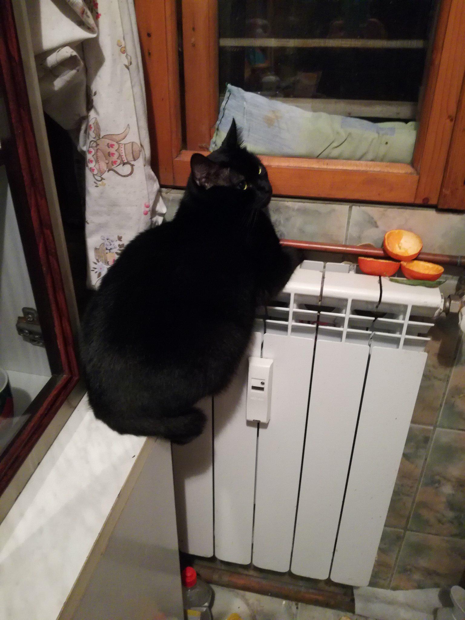 26513122_819498728221887_839071791_o